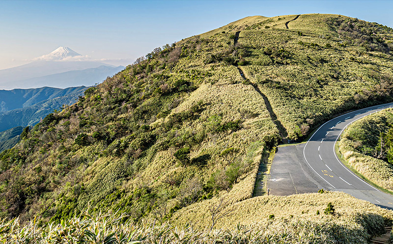 IZU TRAIL Journey 2025 ITJ70